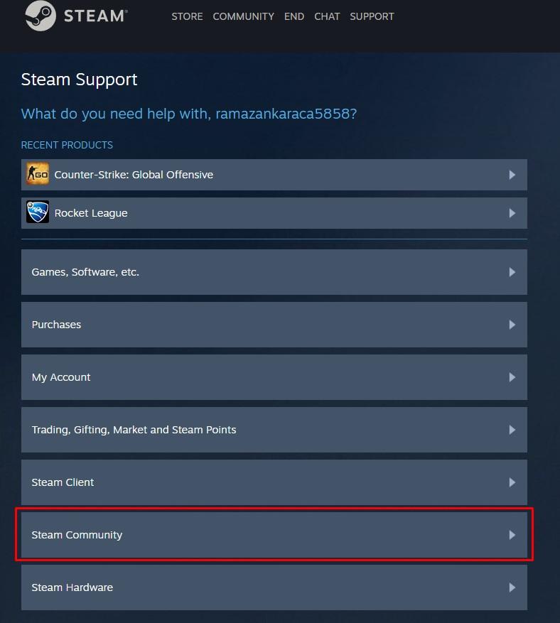 Contact Steam Support